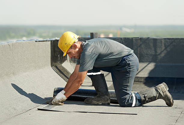 Best Residential Insulation in Edgewater, FL